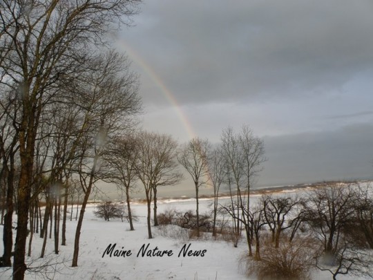 Rainbow in Winter 