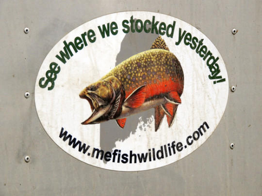 IF&W fish stocking report